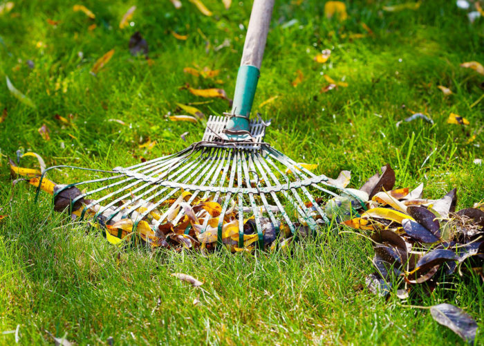 Bonnet Paysagiste, paysagiste à Vannes et sa région. Entretien de jardin